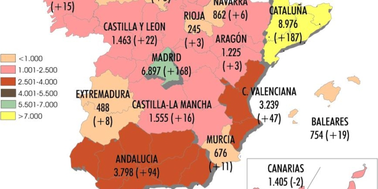 Sigue la recuperación de las empresas de ligero