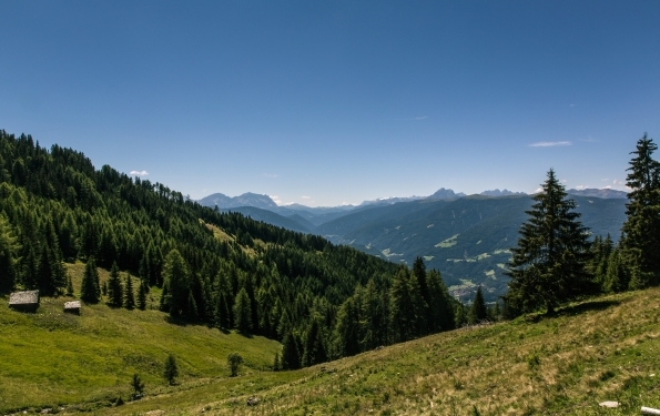 Día Internacional de los Bosques, también en el Sector