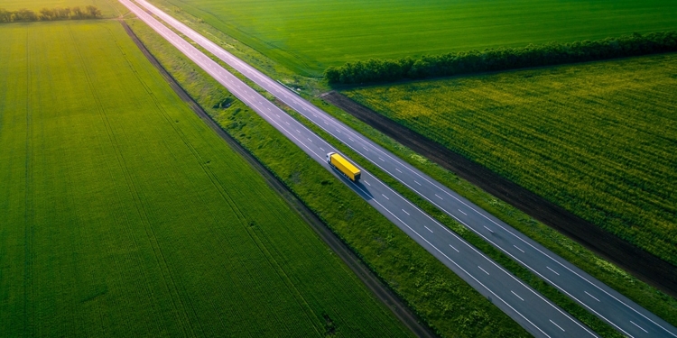 ‘Entregar un paquete el mismo día equivale a talar 300 árboles’