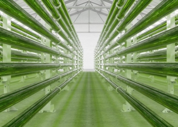 Beneficios, fuentes y combustibles de la energía limpia (I)