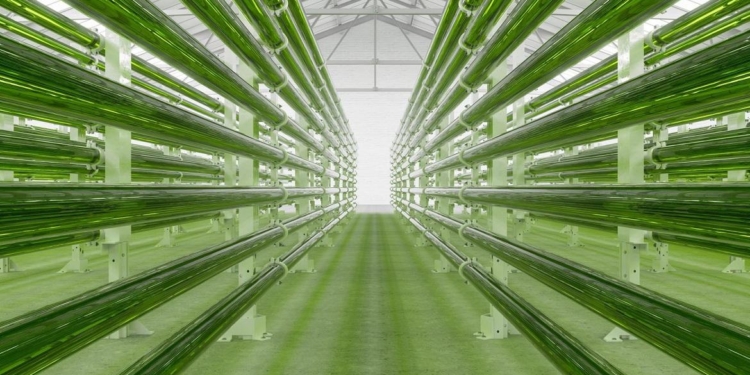 Beneficios, fuentes y combustibles de la energía limpia (I)