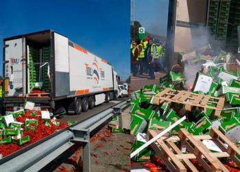 ‘Como diría Gila: ¿Está el Ministerio? Pues que se ponga’