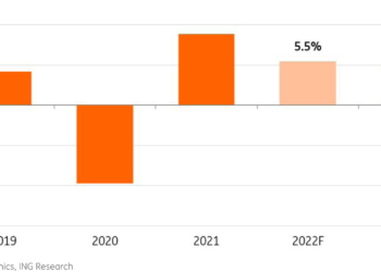 El Sector entra en una nueva fase de recuperación