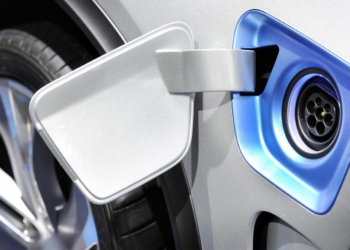 ¿Qué piden los implicados en la neutralidad climática?