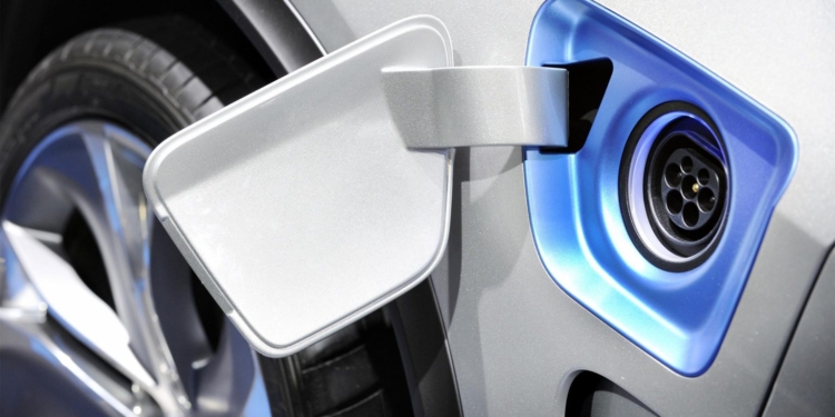 ¿Qué piden los implicados en la neutralidad climática?