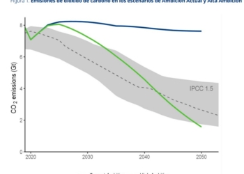 Rápida recuperación, nuevas incertidumbres en el Sector