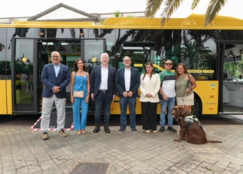 Guaguas Municipales facilita el acceso de perros de asistencia junto a sus dueños