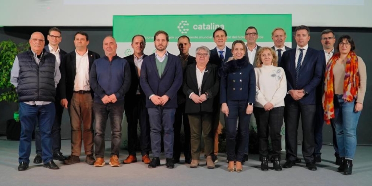 Hidrógeno verde en españa: el proyecto Catalina Producirá 84.000 toneladas