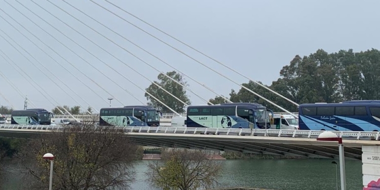 850 autobuses de Sevilla se ofrecen para agilizar la vacunación