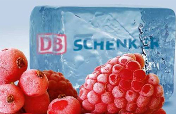 DBSchenkerReefer: especializado en temperatura controlada