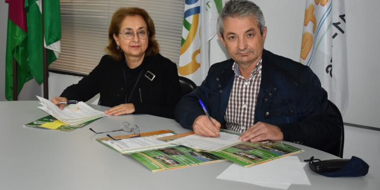 Málaga necesita 300 nuevos conductores de autobús para la temporada alta