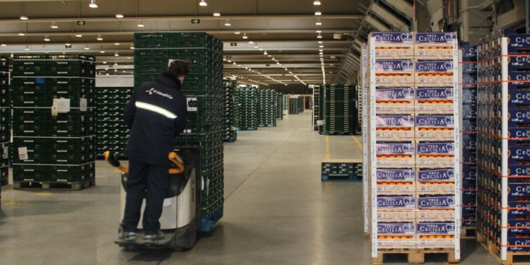 Primafrio se decanta por Visual Trans para la gestión de sus ADTs