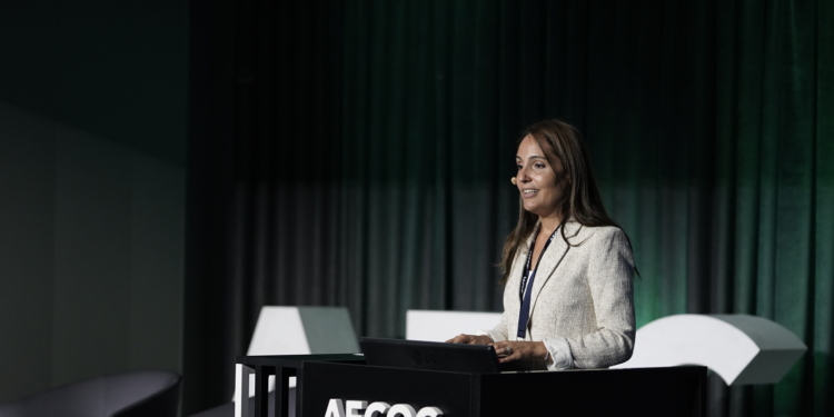 Aecoc apuesta por armonizar el acceso a las ciudades