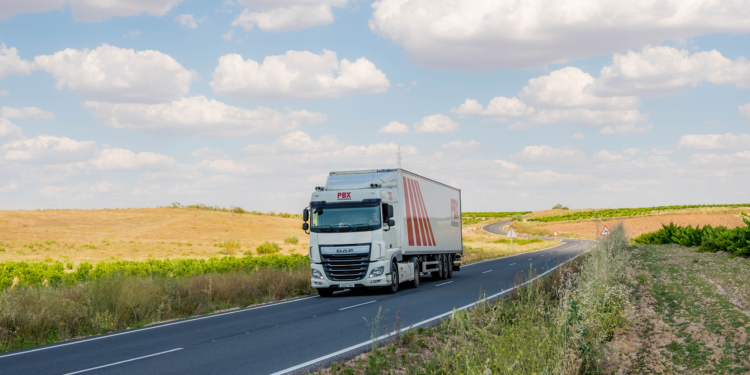 La veterana Santo Domingo se une a Palibex para avanzar en paletería urgente