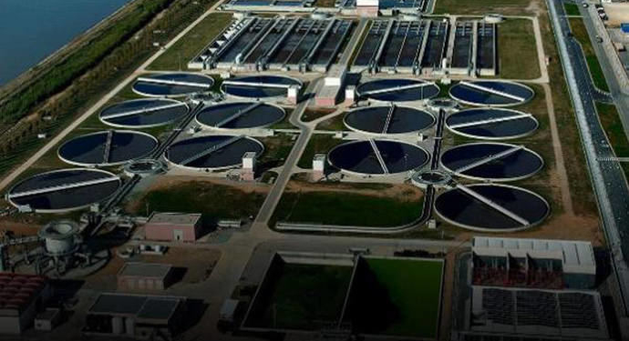 El impacto de los biocombustibles en España en 2022