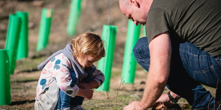 Bosch celebra una jornada de sostenibilidad y cuidado