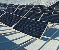 Transaher reafirma su compromiso en el Día del Medio Ambiente