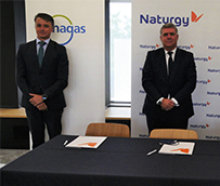 Naturgy, Enagas y Exolum: primera gran alianza de hidrógeno verde
