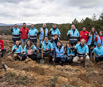 Alsa inicia su proyecto de reforestación para compensar sus viajes