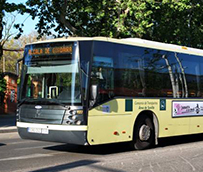 ‘Hacen falta más de 250 nuevos conductores, para atender la demanda actual en Sevilla’