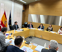 Madrid estrena el Consejo Asesor para la Seguridad del Sector