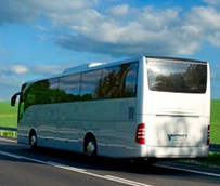 Alemania: 300 milones en ayudas, para la transición al transporte publico sostenible