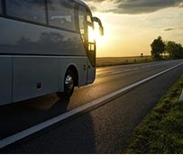 El discrecional y la larga distancia siguen sin recuperarse en el primer semestre