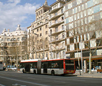 ‘La ley debe tener financiación que supere las diferencias territoriales’