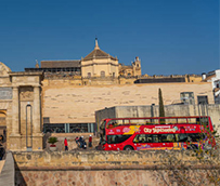 Córdoba recupera 3,4 millones de pasajeros en el pasado año 2022