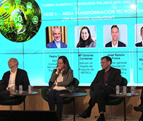 ‘¿Por qué no facilitar ventajas fiscales para el uso de combustibles alternativos?’