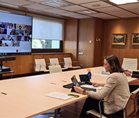 España defiende los certificados de movilidad para reiniciar los viajes internacionales