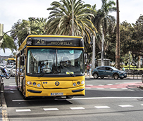 Guaguas Municipales resiste en el ejercicio económico 2020