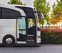 El Sector solicita que la flexibilización de licencias sea íntegra