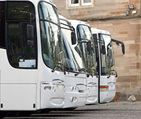 ‘Los costes unitarios de un bus han crecido desde los 54,06 a los 59,73 euros’