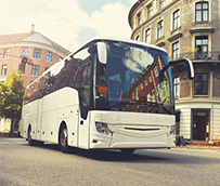 «El sector Carrocero no ha recibido ayudas directas, más de 5000 puestos dependen de él»