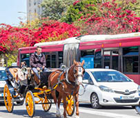 El Sector discrecional espera recibir las ‘comprometidas’ ayudas de Andalucía
