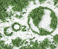 El autobús, en disposición de liderar la movilidad sostenible