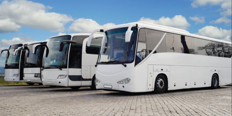 Atedibus quiere crear una bolsa de empleo de conductores para Sevilla