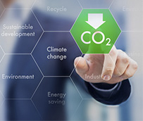 BYD: más de un millón de kilómetros sin emisiones en Nueva Zelanda