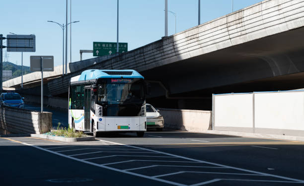 El Sector del bus refuerza sus servicios con motivo de Todos Los Santos