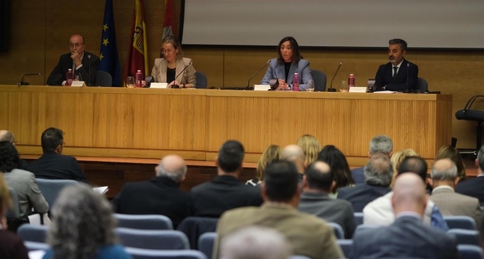 Castilla y León apuesta por la participación en el nuevo mapa