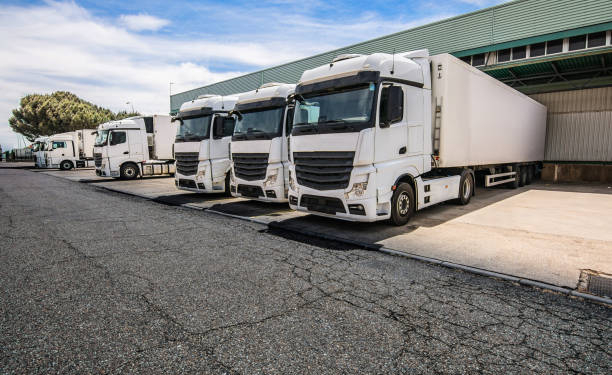 Reducción de la actividad de empresas transportistas durante primer trimestre de 2024