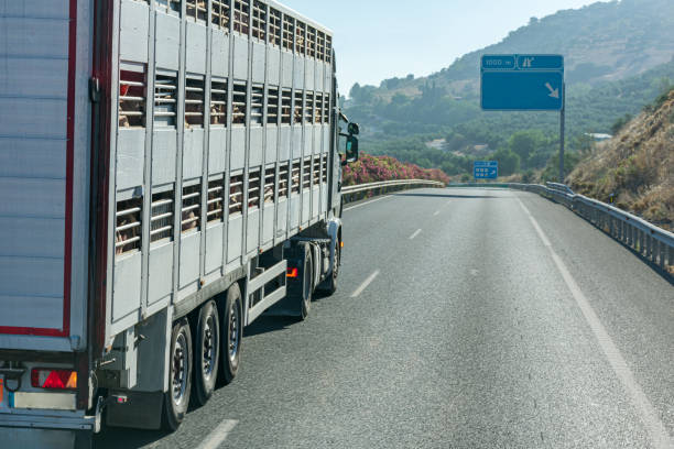 Transporte nocturno obligatorio: riesgo para conductores y seguridad vial