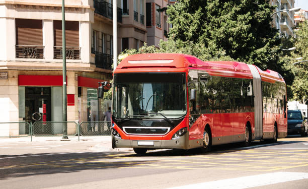 Las nuevas líneas de Zaragoza transportan unos 25.000 pasajeros al día