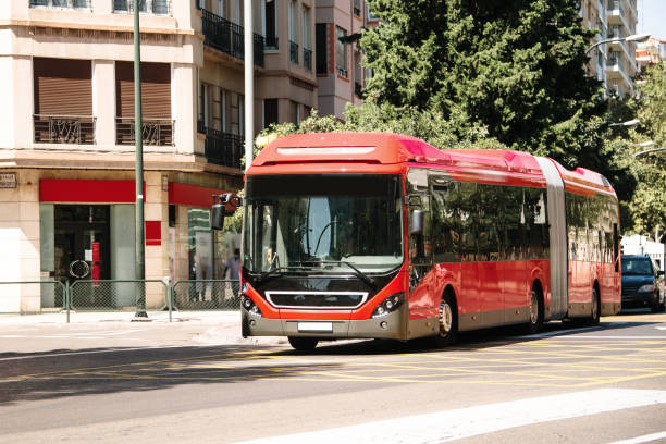 Las nuevas líneas de Zaragoza transportan unos 25.000 pasajeros al día