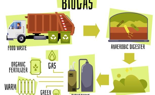 La apuesta por el bioautogás en autocares
