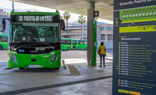 El Gobierno aprueba la gratuidad del transporte público de Canarias y Baleares