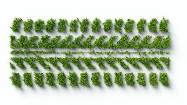 Signus registra su huella de carbono de manera verificada y certificada