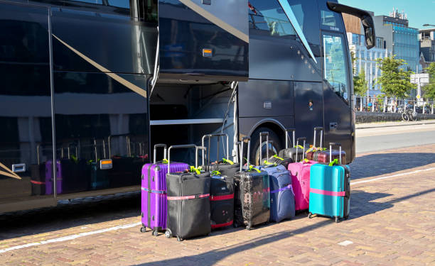 El 60% apuesta por el transporte púbico como principal sistema de movilidad