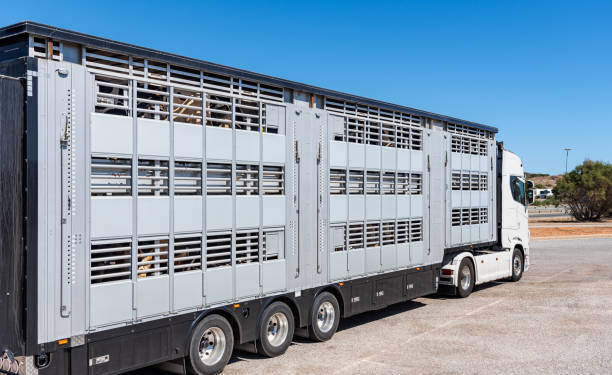 ANTA denuncia negligencia de Mossos en retención de camiones con animales